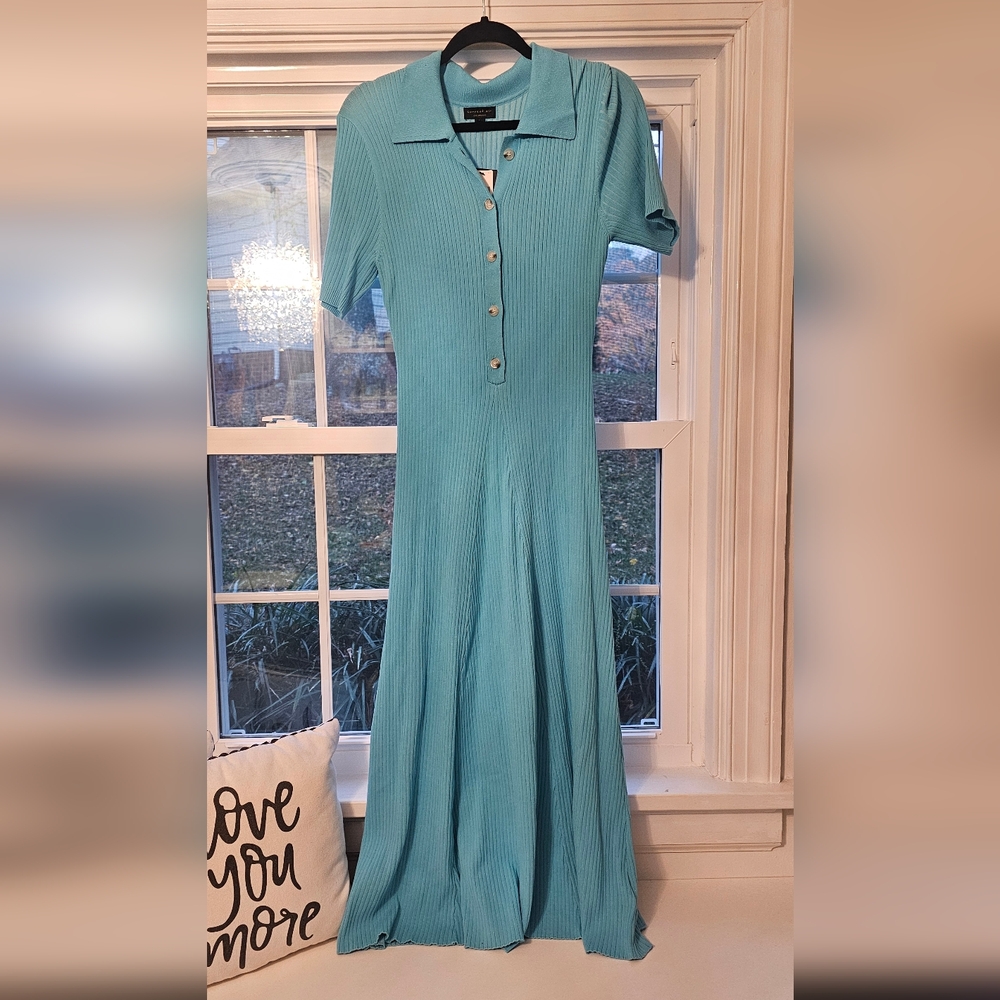 Size large NWT Current Air dress